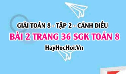 Bài 2 trang 36 Toán 8 Tập 2 Cánh Diều